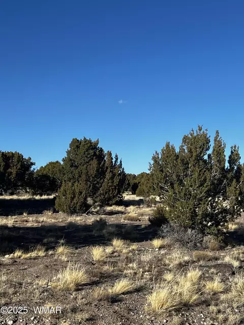 38 8626, Concho, AZ 85924 photo 5