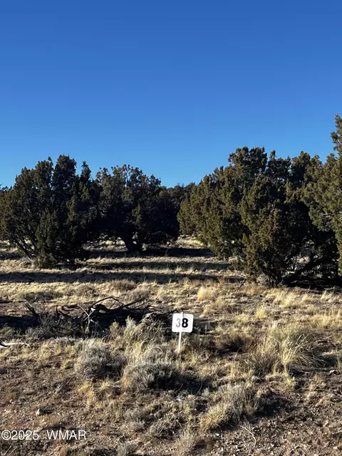 38 8626, Concho, AZ 85924