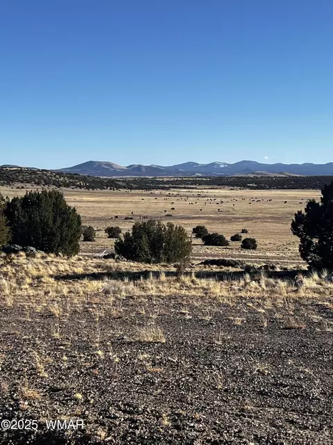 38 8626, Concho, AZ 85924 photo 2