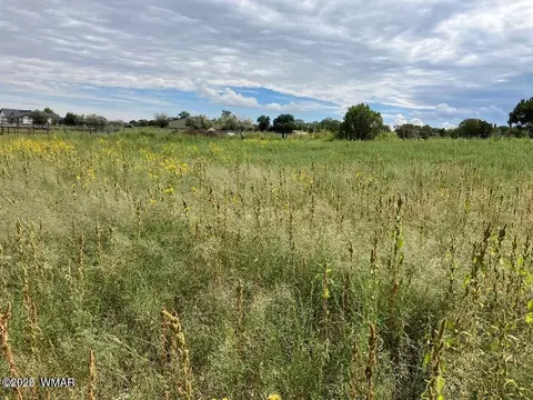 202-203 Mulligan Rd, Eagar, AZ 85925