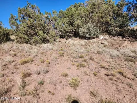 2147 Mallory Dr, Show Low, AZ 85901
