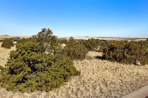 00 Starlane Dr, Eagar, AZ 85925 photo 5