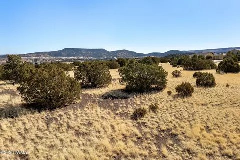 00 Starlane Dr, Eagar, AZ 85925 photo 6