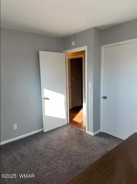 121 N Harmony Ln, Springerville, AZ 85938 photo 11