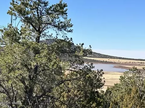 lot61 Stanford, Vernon, AZ 85940
