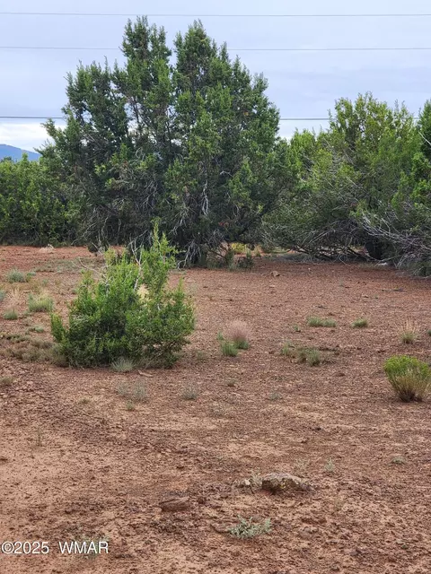 lot4 Cr 3551, Vernon, AZ 85940