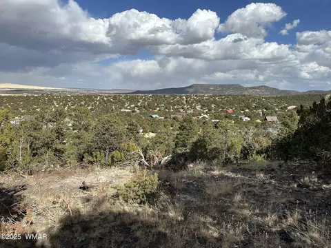 tbd Valley Vis, Eagar, AZ 85925 photo 2