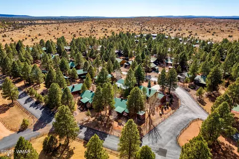 2691 Lodge Loop, Overgaard, AZ 85933 photo 28