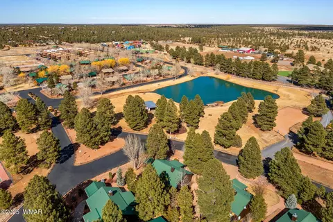 2691 Lodge Loop, Overgaard, AZ 85933 photo 29