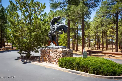 2691 Lodge Loop, Overgaard, AZ 85933 photo 43