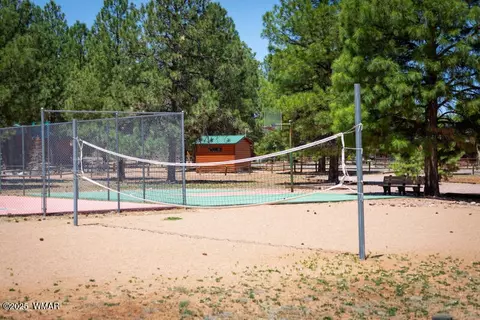2691 Lodge Loop, Overgaard, AZ 85933 photo 31