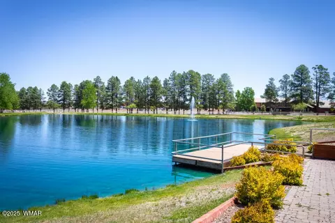2691 Lodge Loop, Overgaard, AZ 85933 photo 35