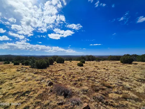 tbd County Road N8060, Concho, AZ 85924