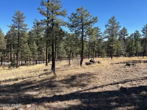 10 County Road 2193, Alpine, AZ 85920