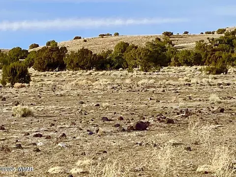 tbd Cr 5201, Concho, AZ 85924