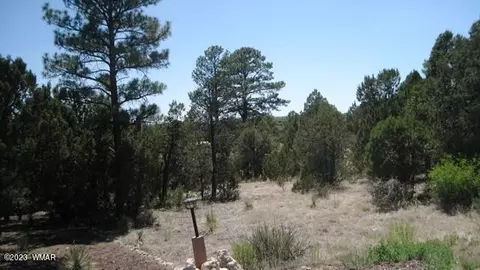 2223 Fairway Dr, Overgaard, AZ 85933