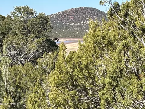 lot79 Ranch Rd, Vernon, AZ 85940