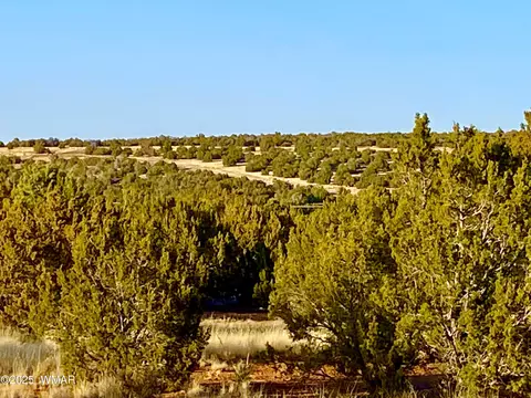 1965 Tee St, Show Low, AZ 85901