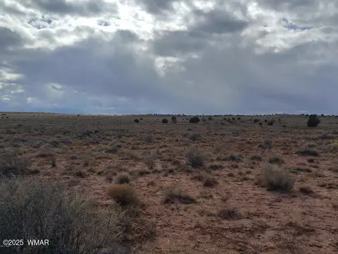 8356 Holly Trl, Snowflake, AZ 85937
