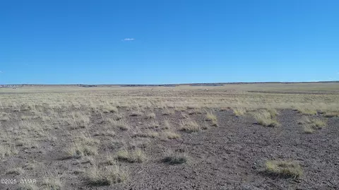 tbd River Meadows Rnch, Concho, AZ 85924 photo 5