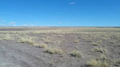 tbd River Meadows Rnch, Concho, AZ 85924 photo 3