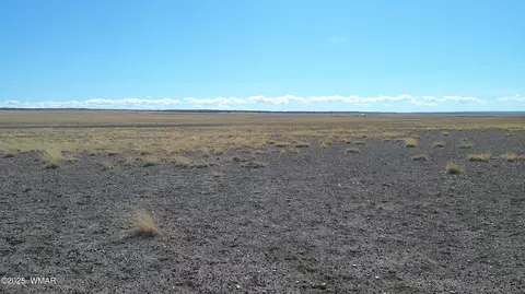 tbd River Meadows Rnch, Concho, AZ 85924 photo 4