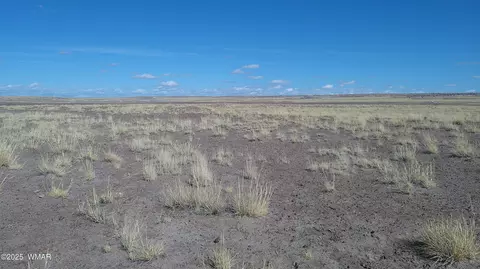 tbd River Meadows Rnch, Concho, AZ 85924 photo 6