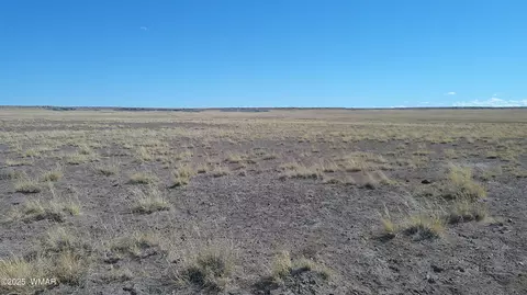 tbd River Meadows Rnch, Concho, AZ 85924 photo 2