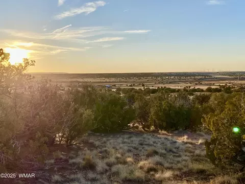 1295 County Rd 5270, Concho, AZ 85924