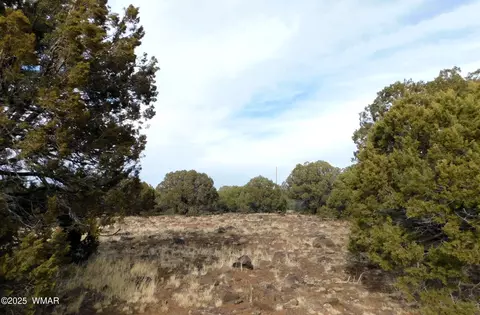 10 County Road N 3071, Vernon, AZ 85940