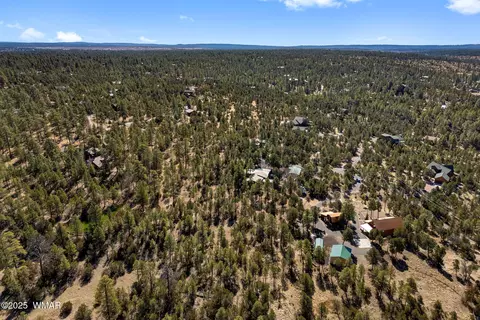 View/Area - 1904 Rim View Ln, Overgaard, AZ 85933 photo 5 of 7