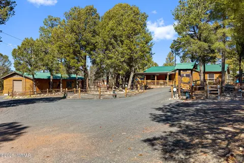 Other - 1904 Rim View Ln, Overgaard, AZ 85933 photo 22 of 22