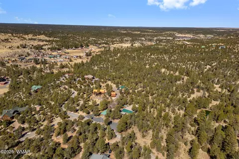 View/Area - 1904 Rim View Ln, Overgaard, AZ 85933 photo 3 of 7