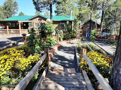 Other - 1904 Rim View Ln, Overgaard, AZ 85933 photo 21 of 22