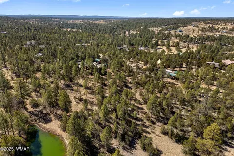 View/Area - 1904 Rim View Ln, Overgaard, AZ 85933 photo 4 of 7
