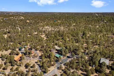 View/Area - 1904 Rim View Ln, Overgaard, AZ 85933 photo 1 of 7