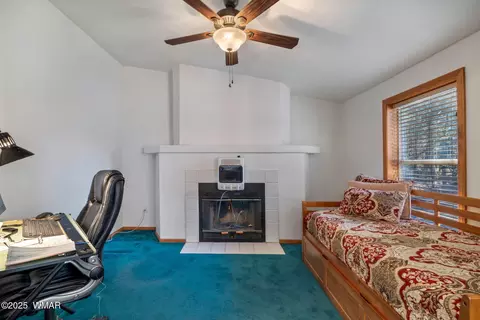 Other - 1904 Rim View Ln, Overgaard, AZ 85933 photo 7 of 22