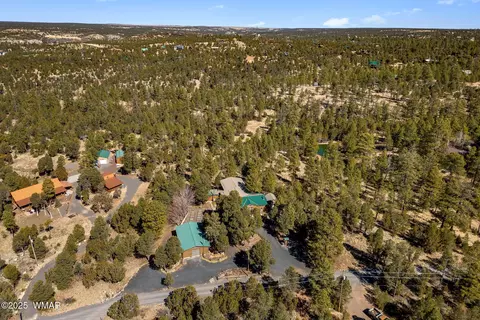 View/Area - 1904 Rim View Ln, Overgaard, AZ 85933 photo 2 of 7