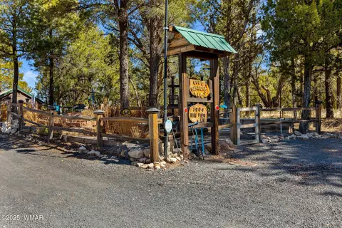 Exterior - 1904 Rim View Ln, Overgaard, AZ 85933 photo 18 of 18