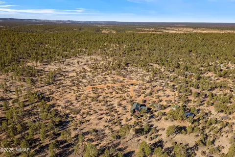 View/Area - 2711 Lost Way, Overgaard, AZ 85933 photo 4 of 5
