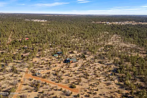 View/Area - 2711 Lost Way, Overgaard, AZ 85933 photo 3 of 5