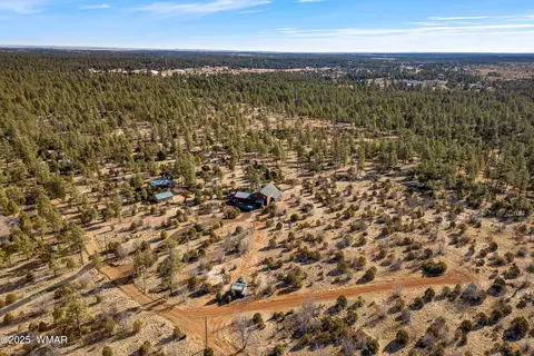 View/Area - 2711 Lost Way, Overgaard, AZ 85933 photo 2 of 5