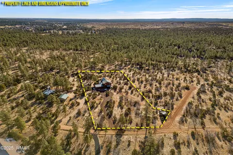 View/Area - 2711 Lost Way, Overgaard, AZ 85933 photo 5 of 5