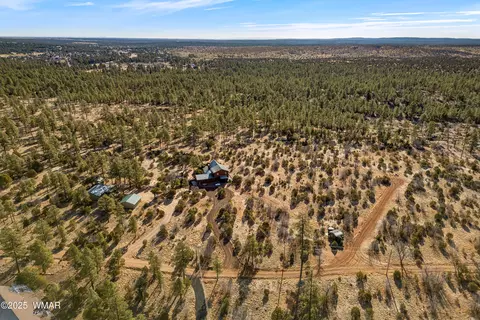 View/Area - 2711 Lost Way, Overgaard, AZ 85933 photo 1 of 5