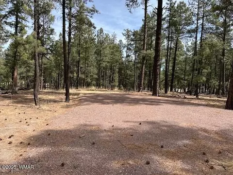 63 County Rd 2271, Alpine, AZ 85920 photo 3