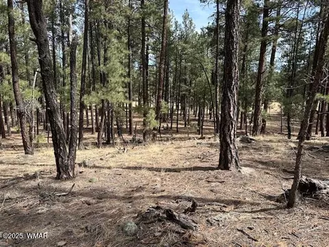 63 County Rd 2271, Alpine, AZ 85920 photo 7