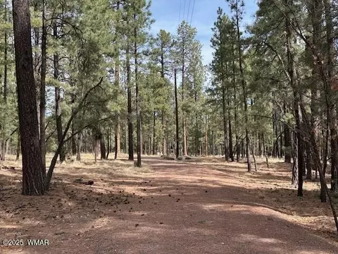 63 County Rd 2271, Alpine, AZ 85920 photo 5