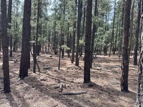 63 County Rd 2271, Alpine, AZ 85920 photo 8