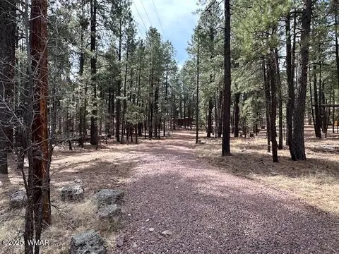 63 County Rd 2271, Alpine, AZ 85920