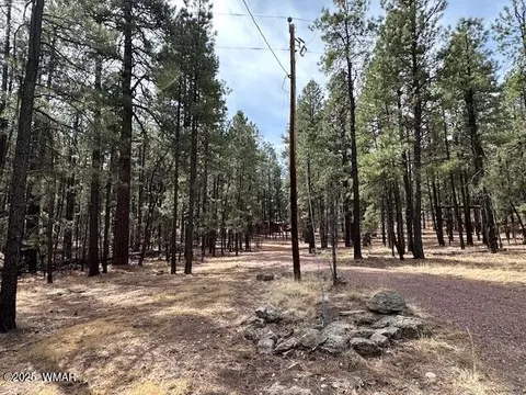 63 County Rd 2271, Alpine, AZ 85920 photo 10